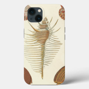 Five of a Kind Seashells iPhone 13 Case