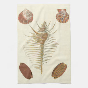 Five of a Kind Seashells Tea Towel