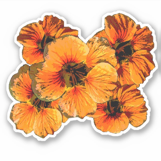 Five orange stylised nasturtium flowers floral (Front)