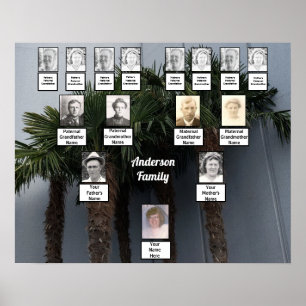 Five Palm Trees Photo Family Tree     Poster