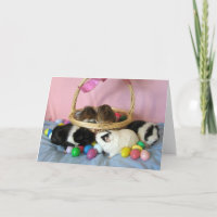 Five Pigs & A Basket