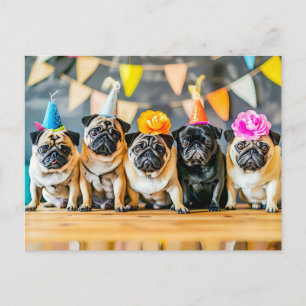Five Pugs with Party Hats Together Postcard