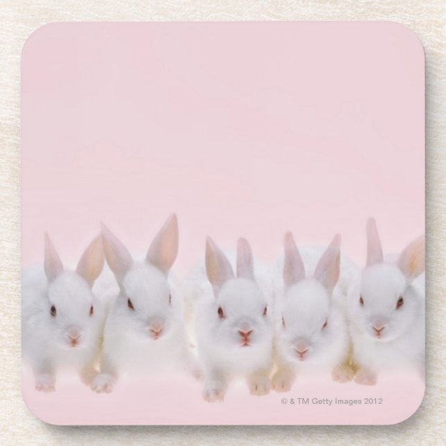Five Rabbits 2 Coaster (Front)