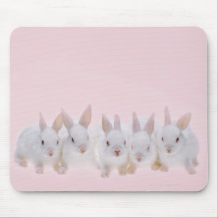 Five Rabbits 2 Mouse Pad