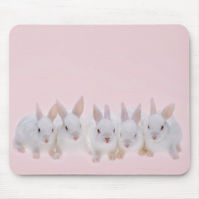 Five Rabbits 2 Mouse Pad (Front)