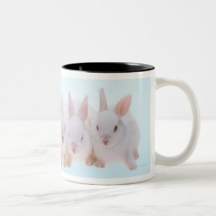 Five Rabbits Two-Tone Coffee Mug