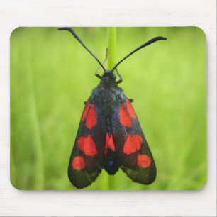 Five-Spot Burnet Moth Mouse Mat