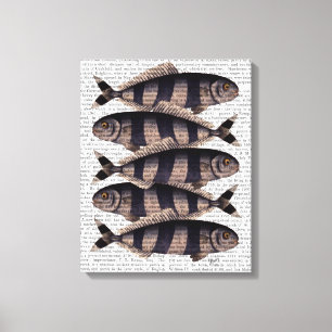 Five Striped Fish Canvas Print