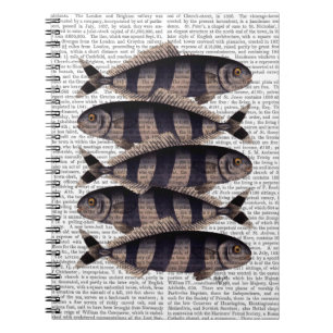 Five Striped Fish Notebook