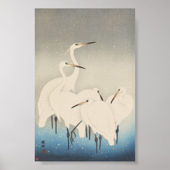 Five White Egrets Poster (Front)
