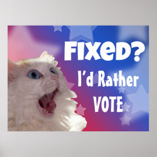 Fixed? I’d Rather Vote Poster