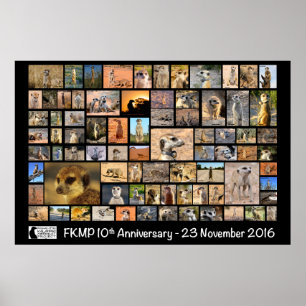 FKMP 10th Anniversary Poster - select your size