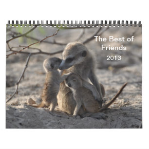 FKMP Meerkats 2013 Calendar