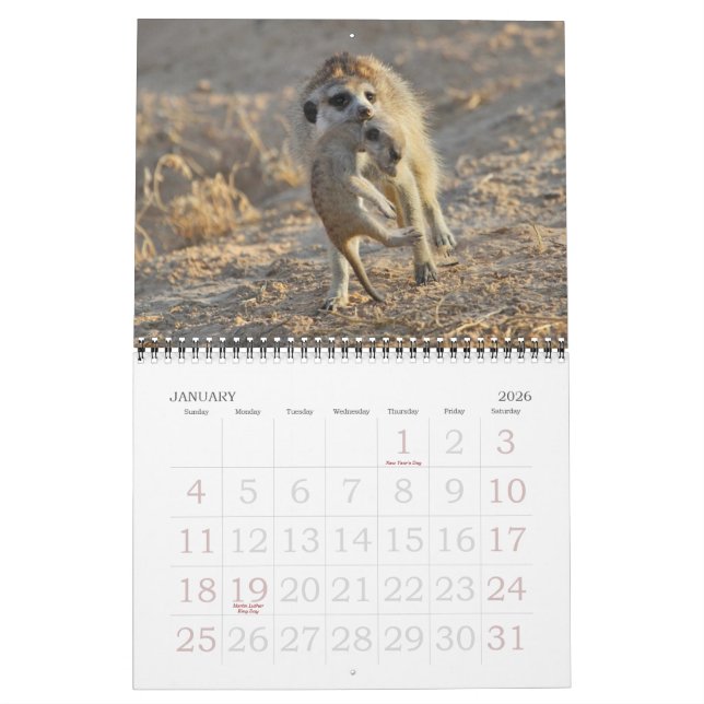 FKMP Meerkats 2013 Calendar (Jan 2026)
