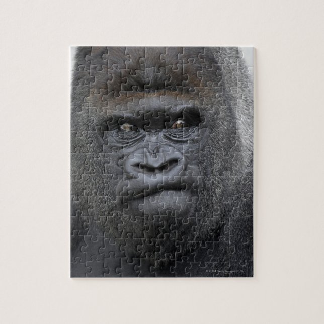 Flachlandgorilla, Gorilla gorilla, Jigsaw Puzzle (Vertical)