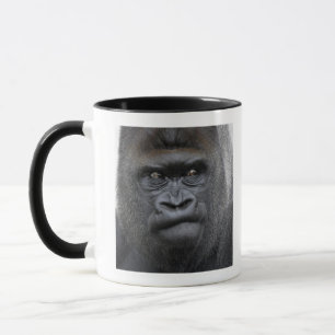 Flachlandgorilla, Gorilla gorilla, Mug