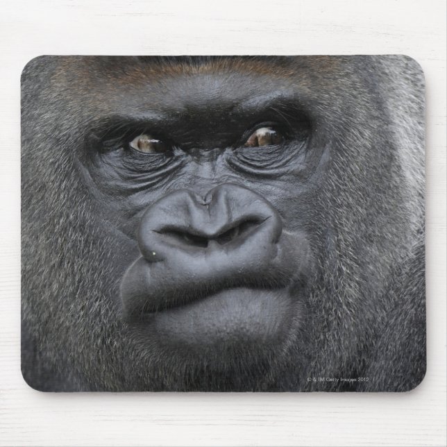 Flachlandgorilla, Gorilla Mouse Pad (Front)