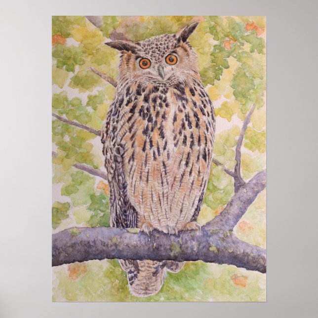 Flaco the Eurasian Eagle Owl  Poster (Front)