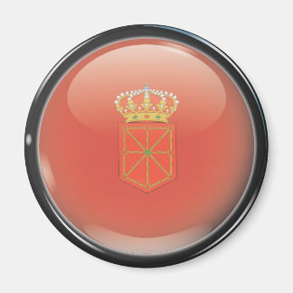 Flag and shield of Navarre Magnet