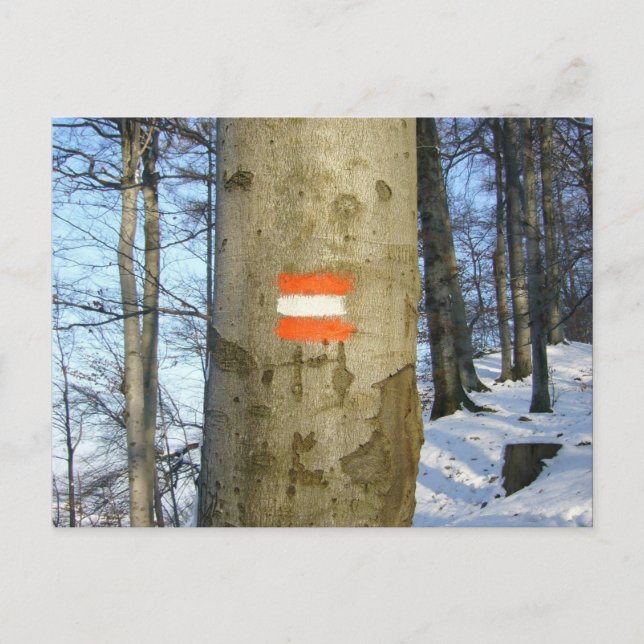 flag austria winter postcard (Front)