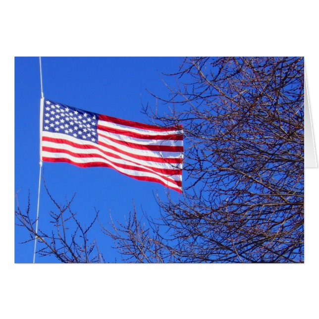 flag half mast (Front Horizontal)