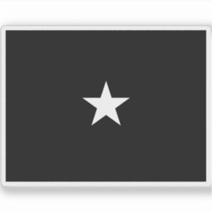 Flag of a U.S. Space Force brigadier general