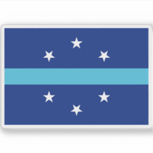 Flag of Anaheim, California (2018–2019)