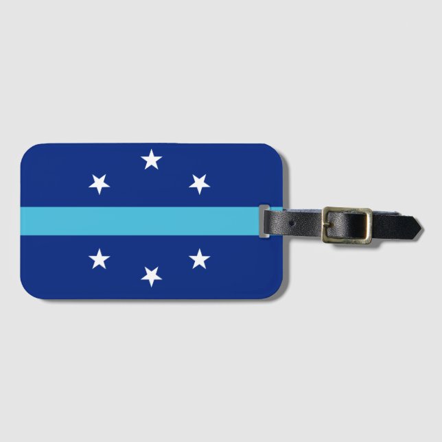 Flag of Anaheim, California Luggage Tag (Front Horizontal)