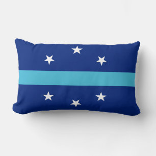 Flag of Anaheim, California Lumbar Cushion