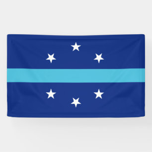 Flag of Anaheim (California, USA) Banner