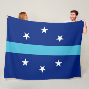 Flag of Anaheim (California, USA) Fleece Blanket