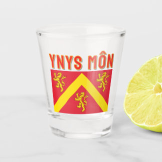 Flag of Anglesey, Wales Shot Glass