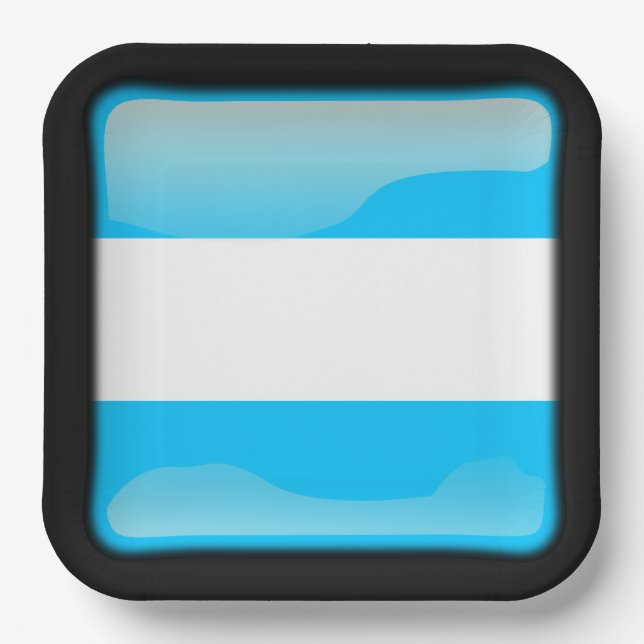 Flag of Argentina Paper Plate (Front)