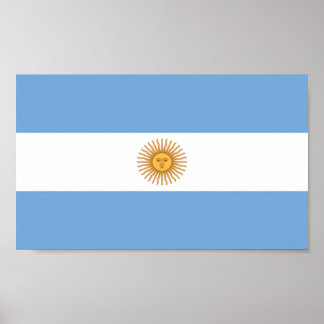 Flag of Argentina Poster