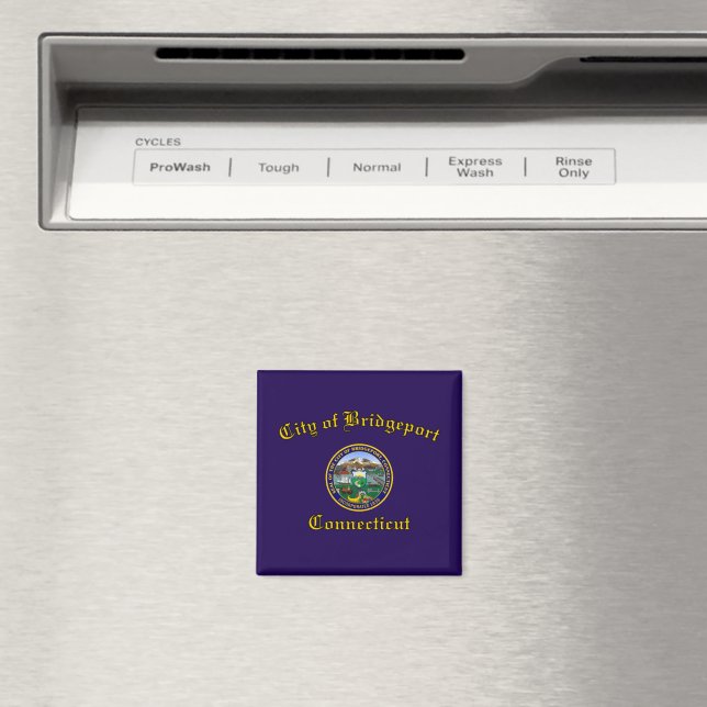 Flag of Bridgeport, Connecticut Magnet (In Situ (Dishwasher))