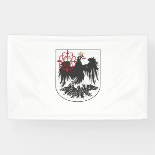 Flag of Buenos Aires (Argentina) Banner