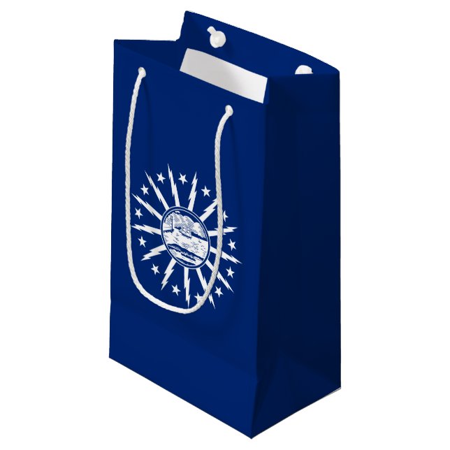 Flag of Buffalo, New York Small Gift Bag (Front Angled)
