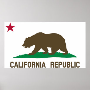 Flag of California Poster