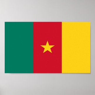 Flag of Cameroon Poster