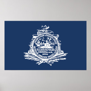 Flag of Charleston, South Carolina Poster