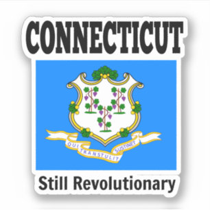 Flag of Connecticut, United States