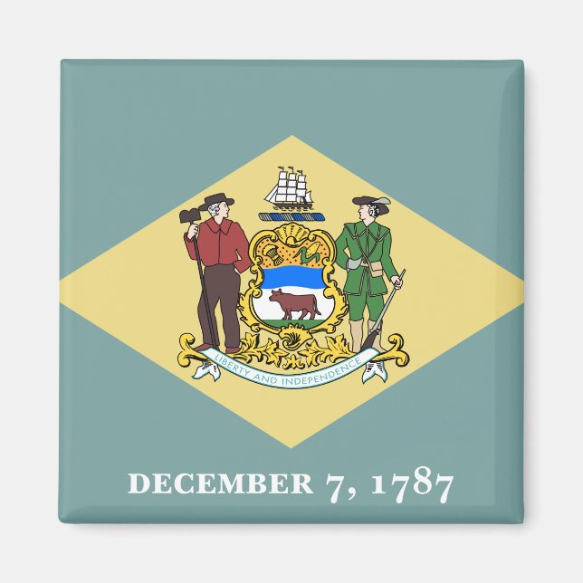 Flag of Delaware, USA Magnet (Front)