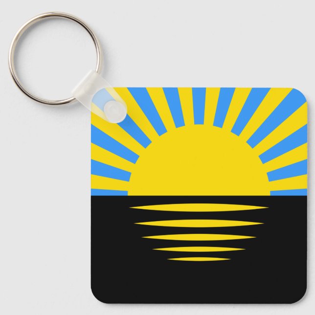 Flag of Donetsk Oblast Key Ring (Front)
