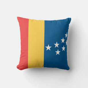 Flag of Durham (North Carolina, USA) Cushion