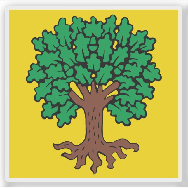 Flag of Échallens, Switzerland (Front)