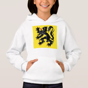 Flag of Flanders