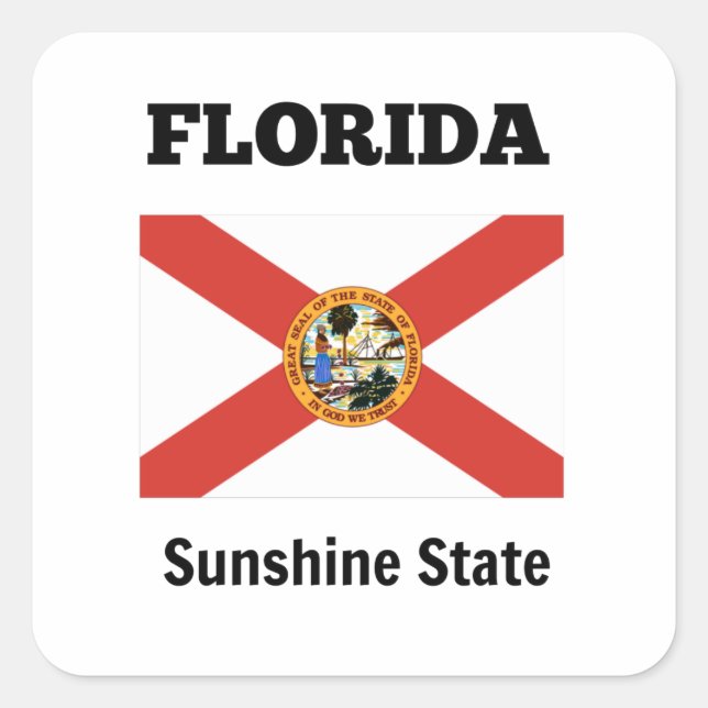 Flag of Florida and state motto Square Sticker (Front)