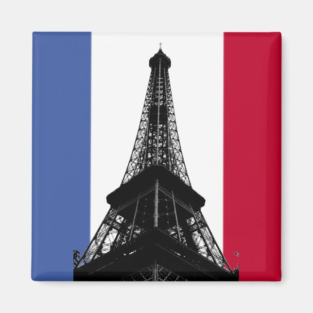 Flag of France Magnet (Front)
