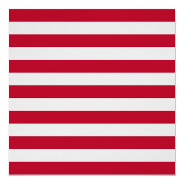 Flag of Goes Poster (Front)