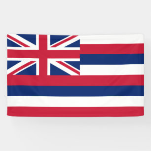 Flag of Hawaii (US State) Banner